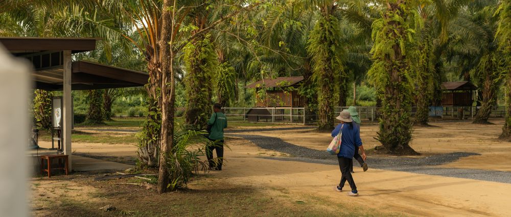 JW MARRIOTT KHAO LAK — 36